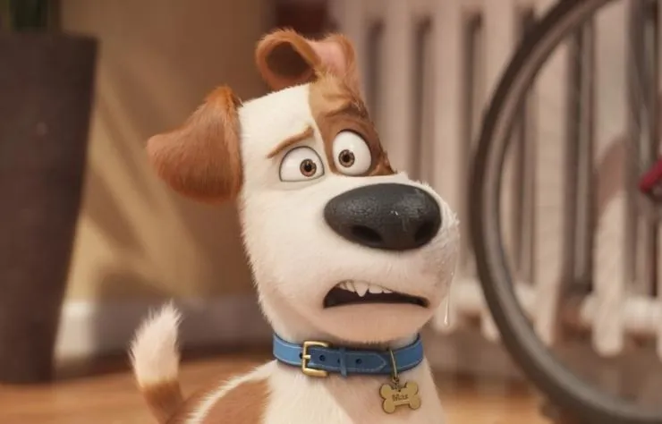 Тайная жизнь домашних животных (2016) через торрент бесплатно Тайная жизнь домашних животных (2016) мультфильм через торрент бесплатно