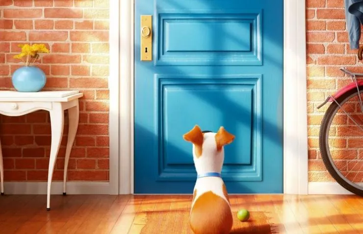 Тайная жизнь домашних животных (2016) через торрент скачать Тайная жизнь домашних животных (2016) мультфильм через торрент скачать