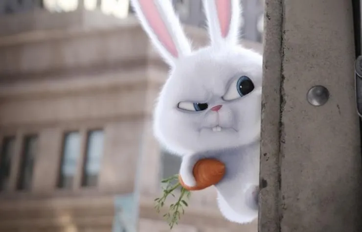 Тайная жизнь домашних животных (2016) в хорошем качестве через торрент Тайная жизнь домашних животных (2016) мультфильм в хорошем качестве через торрент