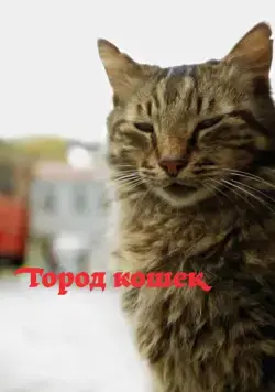 Город кошек / Kedi (2016) фильм скачать через торрент в хорошем качестве
