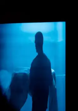 Высшее общество (2018) через торрент скачать Высшее общество (2018) фильм через торрент скачать