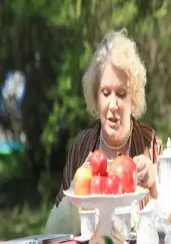 Моя любимая свекровь (2016) через торрент скачать Моя любимая свекровь (2016) сериал через торрент скачать