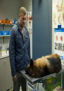 Сердце ангела (2014) в хорошем качестве через торрент Сердце ангела (2014) сериал в хорошем качестве через торрент