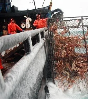 Смертельный улов (2005) через торрент бесплатно Смертельный улов (2005) сериал через торрент бесплатно