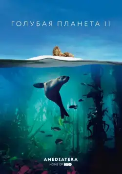 Голубая планета 2 / BBC Earth Blue Planet II (2017) сериал скачать через торрент в хорошем качестве
