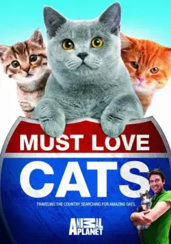 Кошек не любить нельзя / Must Love Cats (2011) сериал скачать через торрент в хорошем качестве