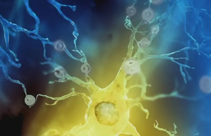 Испытайте свой мозг (2011) в хорошем качестве через торрент Испытайте свой мозг (2011) сериал в хорошем качестве через торрент