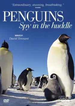 Пингвины: Шпион в толпе / Penguins: Spy in the Huddle (2013) сериал скачать через торрент в хорошем качестве