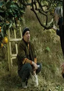 Мандарины (2013) в хорошем качестве через торрент Мандарины (2013) фильм в хорошем качестве через торрент