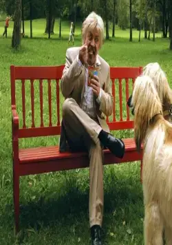 Мистер Гафф (2007) через торрент скачать Мистер Гафф (2007) фильм через торрент скачать