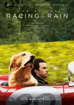 Невероятный мир глазами Энцо / The Art of Racing in the Rain (2019) фильм скачать через торрент в хорошем качестве