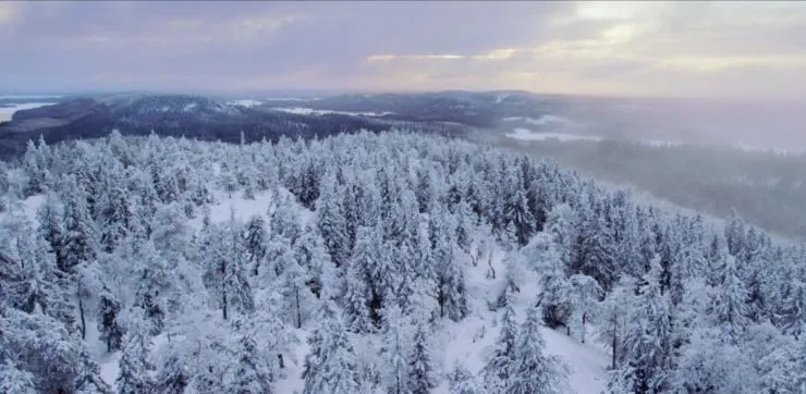 Находка (2015) через торрент бесплатно Находка (2015) фильм через торрент бесплатно