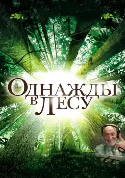 Однажды в лесу / Once in the Forest (2013) фильм скачать через торрент в хорошем качестве