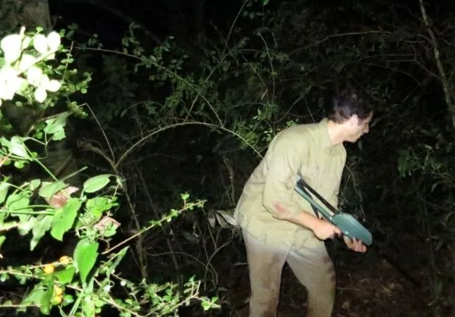 Джунгли (2013) через торрент бесплатно Джунгли (2013) фильм через торрент бесплатно