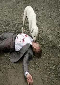 Однажды в Голливуде (2008) через торрент скачать Однажды в Голливуде (2008) фильм через торрент скачать