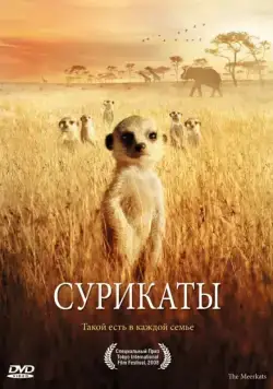 Сурикаты / The Meerkats (2007) фильм скачать через торрент в хорошем качестве