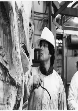 Рокки 2 (1979) через торрент бесплатно Рокки 2 (1979) фильм через торрент бесплатно