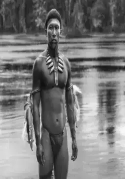 Объятия змея (2015) в хорошем качестве через торрент Объятия змея (2015) фильм в хорошем качестве через торрент