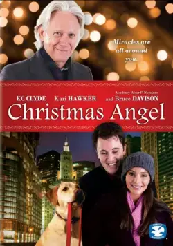 Ангел Рождества / Christmas Angel (2009) фильм скачать через торрент в хорошем качестве
