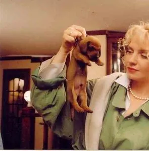 Четыре таксиста и собака (2004) в хорошем качестве через торрент Четыре таксиста и собака (2004) фильм в хорошем качестве через торрент