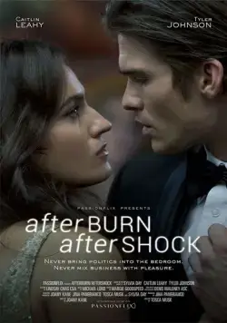 Страсть и покорение / Afterburn/Aftershock (2017) фильм скачать через торрент в хорошем качестве