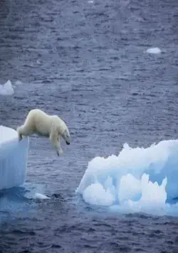 Земля (2007) через торрент бесплатно Земля (2007) фильм через торрент бесплатно