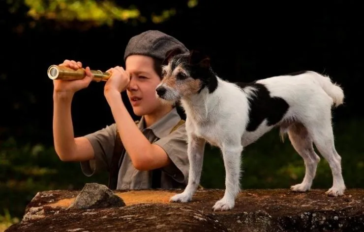 Мальчик в зеркале (2014) через торрент скачать Мальчик в зеркале (2014) фильм через торрент скачать