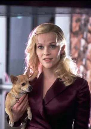 Блондинка в законе 2 (2003) через торрент скачать Блондинка в законе 2 (2003) фильм через торрент скачать