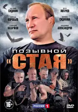 Позывной «Стая» / Позывной «Стая» (2013) сериал скачать через торрент в хорошем качестве