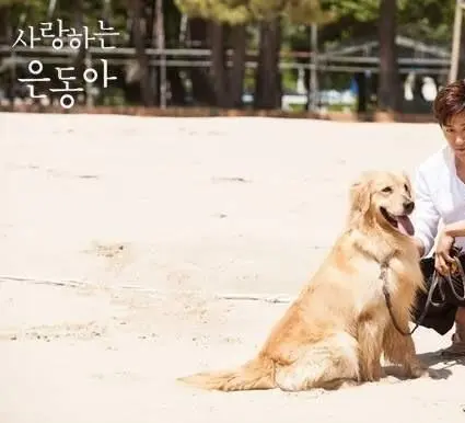 Моя любовь Ын-дон (2015) через торрент бесплатно Моя любовь Ын-дон (2015) сериал через торрент бесплатно