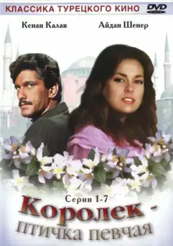 Королёк – птичка певчая / Çalıkuşu (1986) сериал скачать через торрент в хорошем качестве