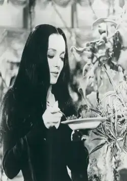 Семейка Аддамс (1964) через торрент бесплатно Семейка Аддамс (1964) сериал через торрент бесплатно