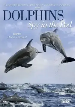 Дельфины скрытой камерой / Dolphins: Spy in the Pod (2014) сериал скачать через торрент в хорошем качестве