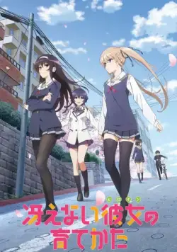 Как создать из обычной девушки героиню / Saenai hiroin no sodatekata (2015) сериал мультфильм аниме скачать через торрент в хорошем качестве