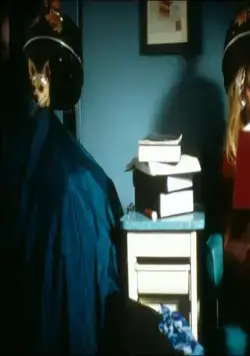 Блондинка в законе (2001) в хорошем качестве через торрент Блондинка в законе (2001) фильм в хорошем качестве через торрент