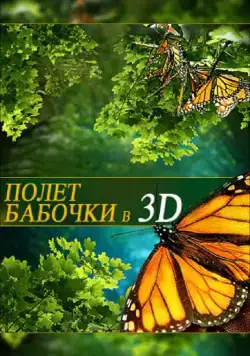 Скачать Полет бабочки 3D / Flight of the Monarch Butterfly 3D (2012) фильм через торрент на русском