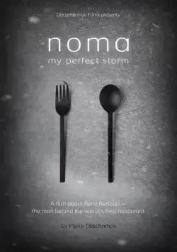 «Нома» – мой идеальный шторм / Noma My Perfect Storm (2015) фильм скачать через торрент в хорошем качестве