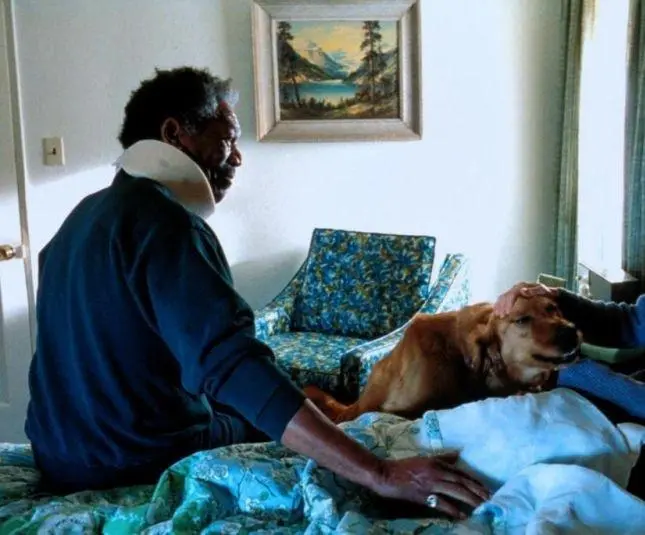 Особо тяжкие преступления (2002) в хорошем качестве через торрент Особо тяжкие преступления (2002) фильм в хорошем качестве через торрент