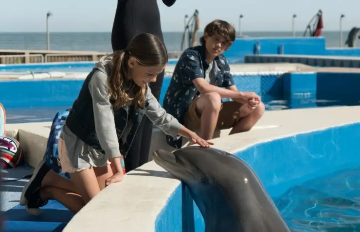 Дельфин Берни (2018) в хорошем качестве через торрент Дельфин Берни (2018) фильм в хорошем качестве через торрент