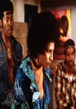 Фокси Браун (1974) через торрент бесплатно Фокси Браун (1974) фильм через торрент бесплатно