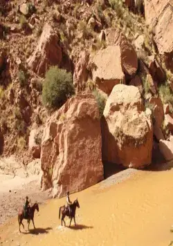 Блэкторн (2011) через торрент бесплатно Блэкторн (2011) фильм через торрент бесплатно