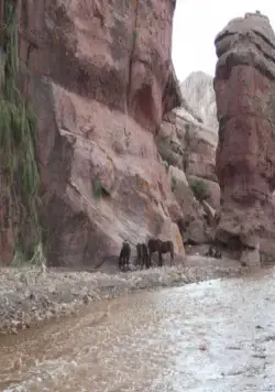 Блэкторн (2011) через торрент скачать Блэкторн (2011) фильм через торрент скачать