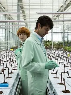 Малыш Джо / Little Joe (2019) фильм скачать через торрент в хорошем качестве