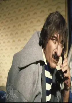 Розовая пантера наносит ответный удар (1976) через торрент скачать Розовая пантера наносит ответный удар (1976) фильм через торрент скачать