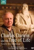 Скачать Чарльз Дарвин и Древо жизни / Charles Darwin and the Tree of Life (2009) фильм через торрент на русском