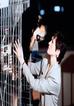 Лучший друг человека (1993) через торрент скачать Лучший друг человека (1993) фильм через торрент скачать