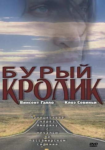 Бурый кролик / The Brown Bunny (2003) фильм скачать через торрент в хорошем качестве