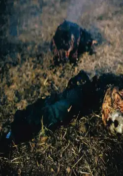 Джейсон отправляется в ад: Последняя пятница (1993) через торрент бесплатно Джейсон отправляется в ад: Последняя пятница (1993) фильм через торрент бесплатно