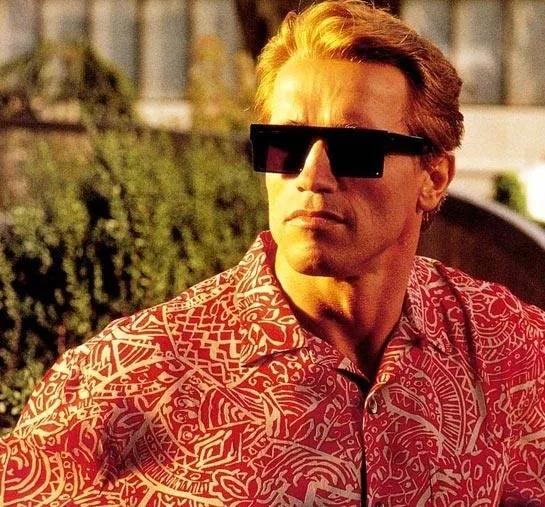 Близнецы (1988) через торрент скачать Близнецы (1988) фильм через торрент скачать