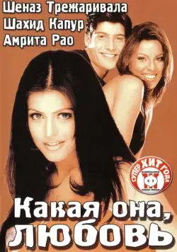 Какая она, любовь / Ishq Vishk (2003) фильм скачать через торрент в хорошем качестве